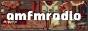 AM FM radio button